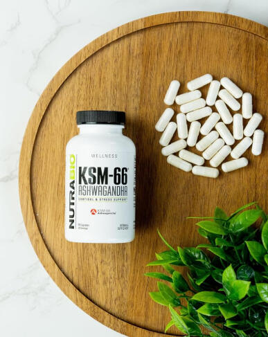 KSM 66
